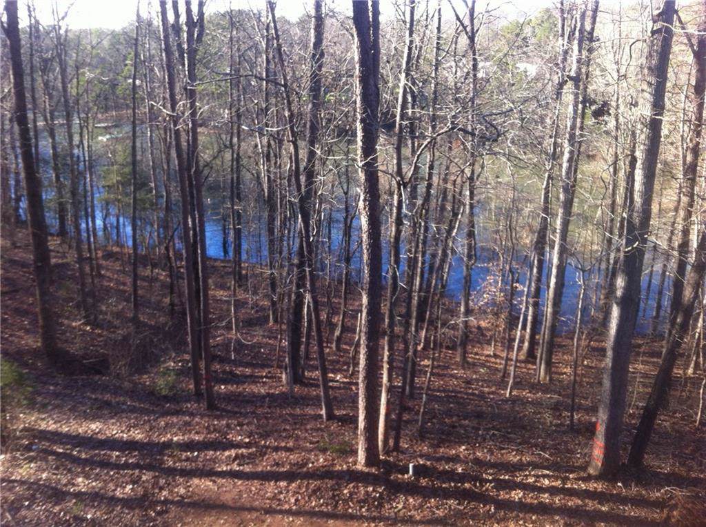 Lot 38 Overlook Drive - Photo 1