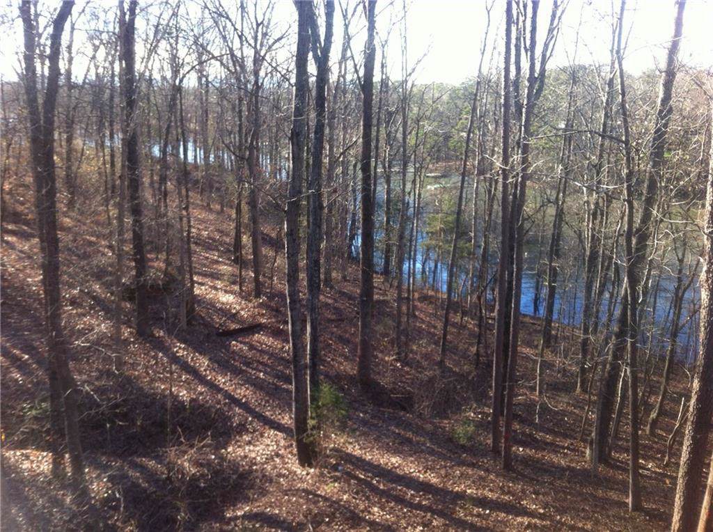 Lot 39 Overlook Drive - Photo 1