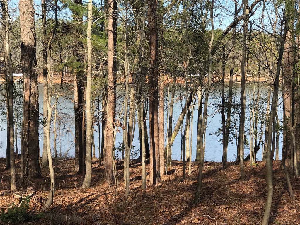 TBD-4 Reed Creek Highway - Photo 1