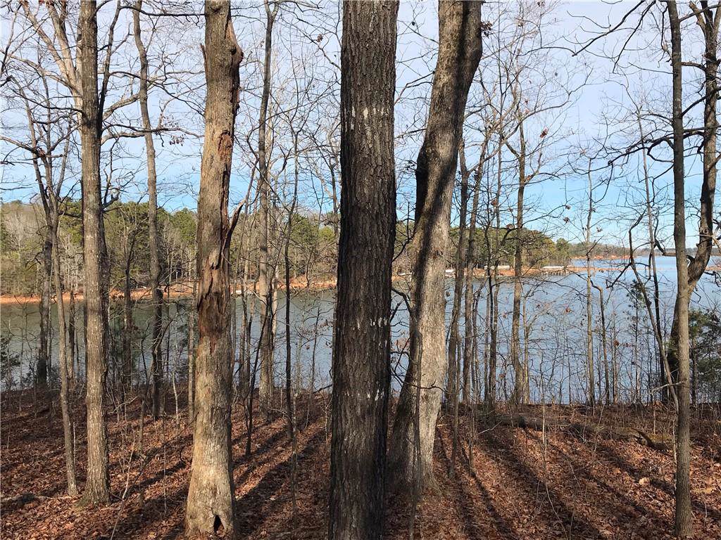 TBD-9 Reed Creek Highway - Photo 1