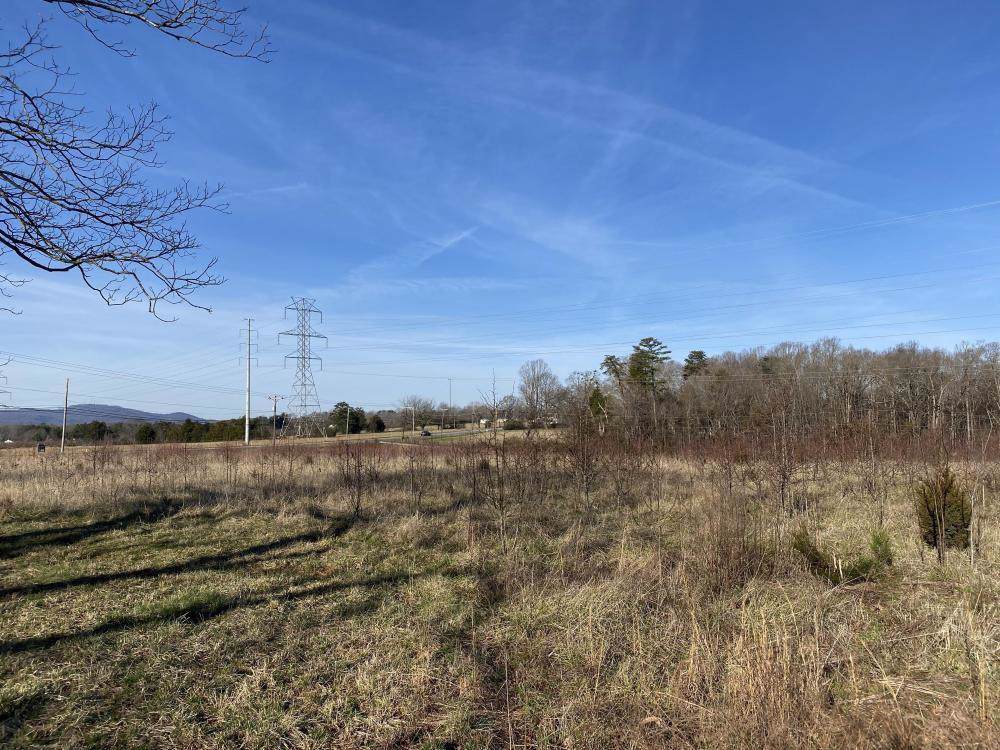 0 Locust Hill Road - Photo 1 0 Locust Hill Road - Photo 1