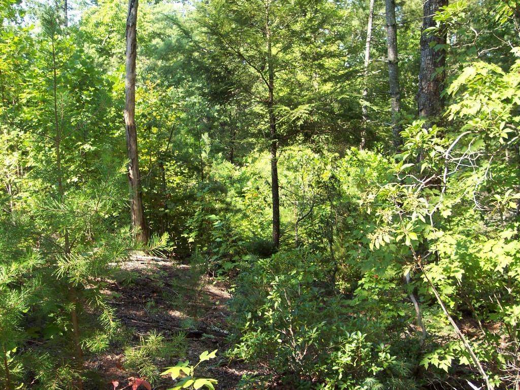 353 Woodmere Drive - Photo 1
