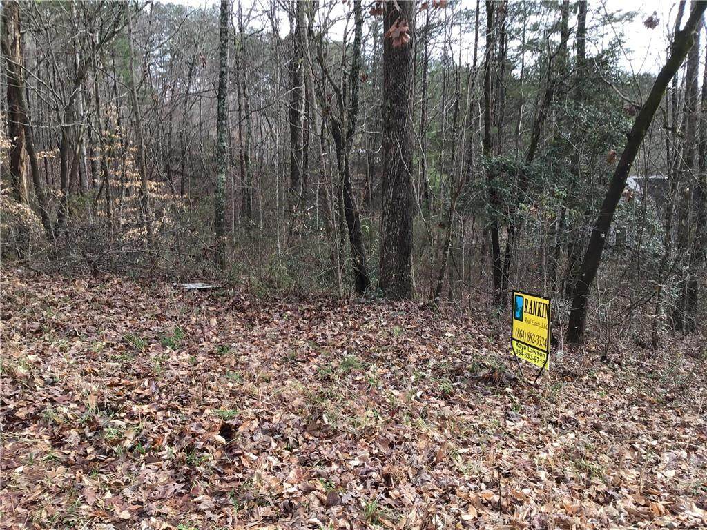Lot 30 Fox Run Road - Photo 1