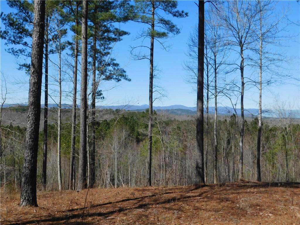 519 Hunting Hollow Drive - Photo 1