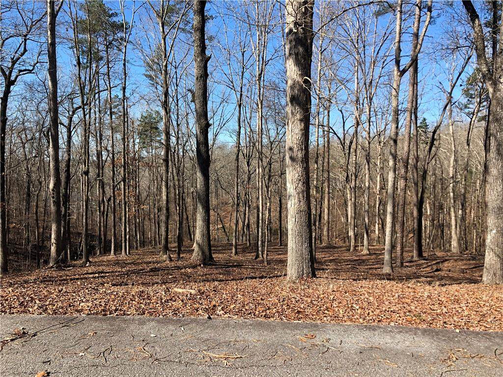 Lot 8 Dyar Way - Photo 1