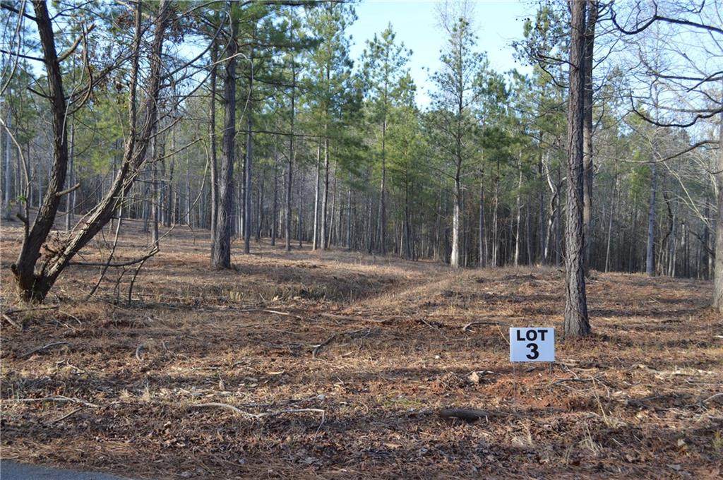 Lot 3 Stokes Drive - Photo 1