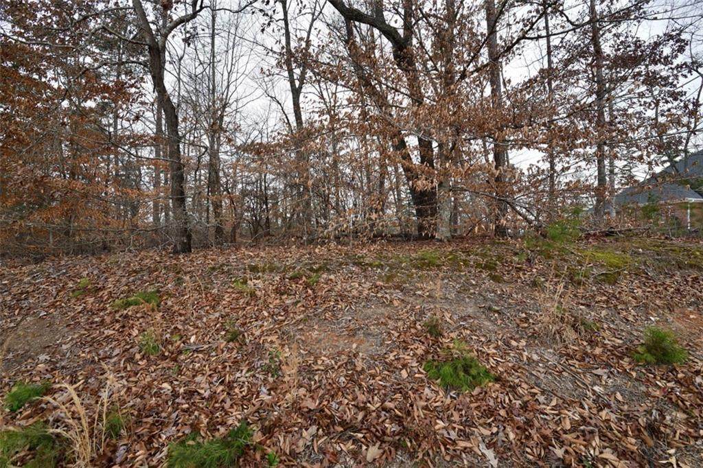 2 Sixteenth Circle Circle - Photo 1