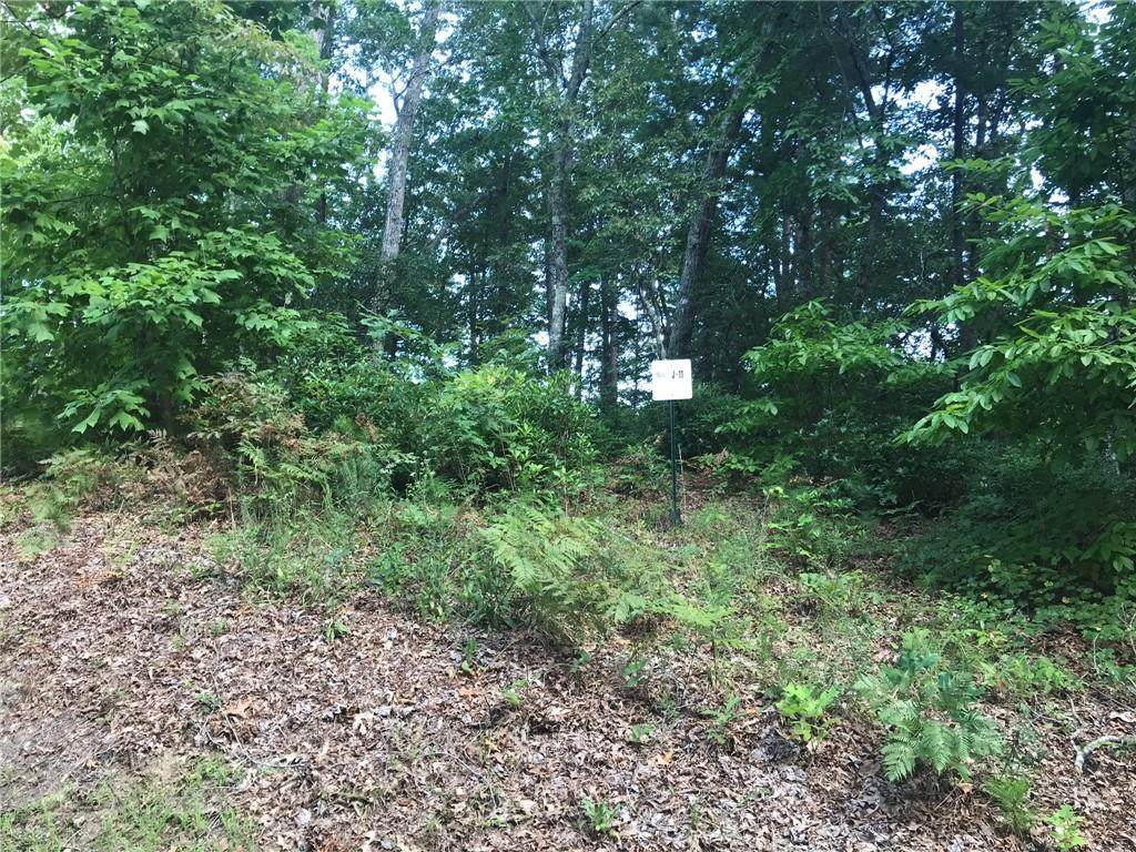 406 Ivory Bill Way - Photo 1