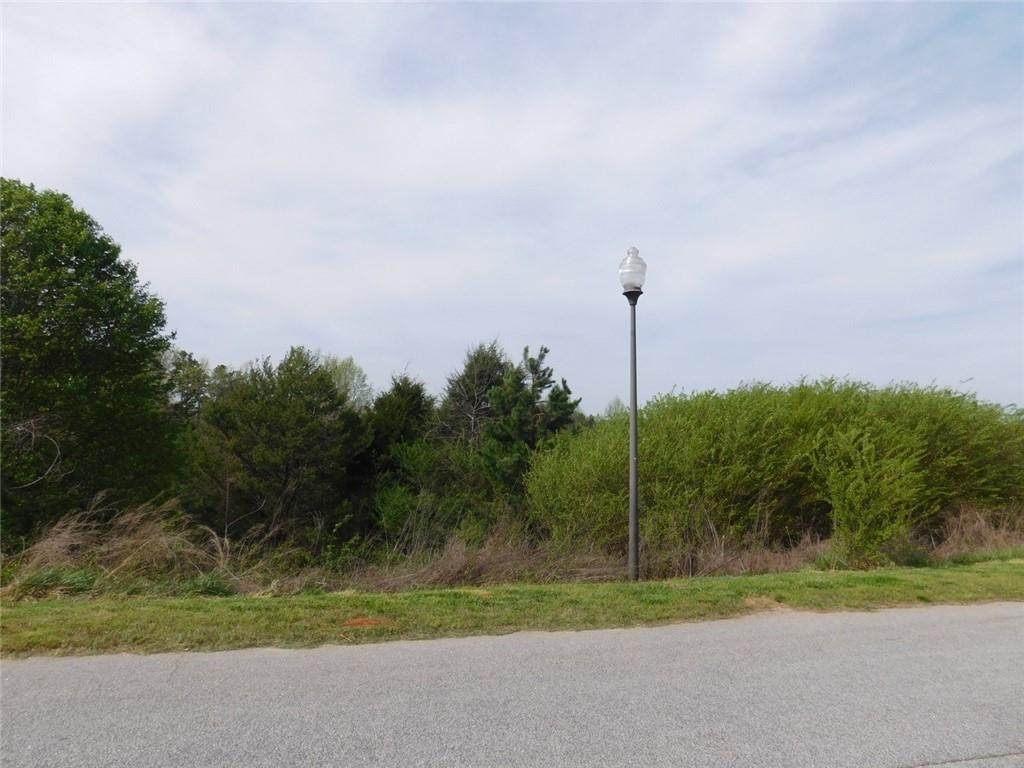 00 Lot 5 Hidden Falls Drive - Photo 1