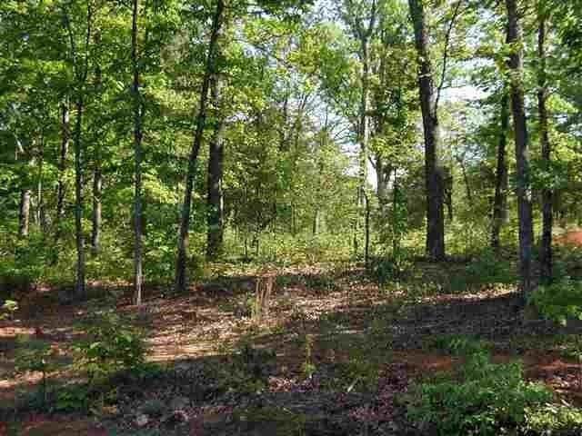 437 Gibson Road - Photo 1