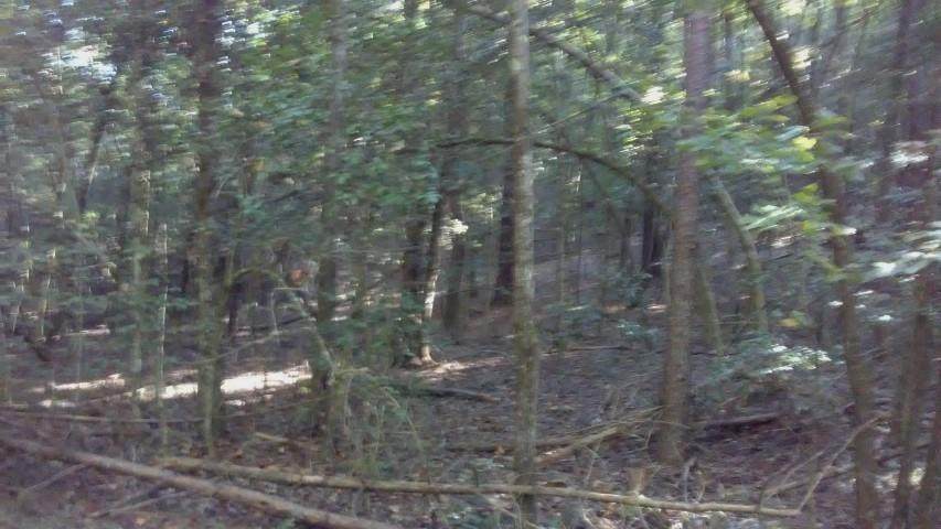 000 Lots 10 & 11 Lake Becky Interior No Lake Access Ro - Photo 1