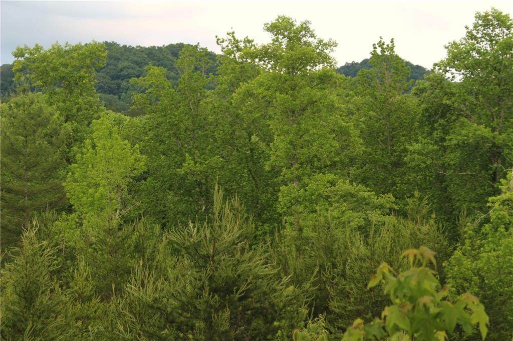 XXX Mill Creek Road - Photo 1