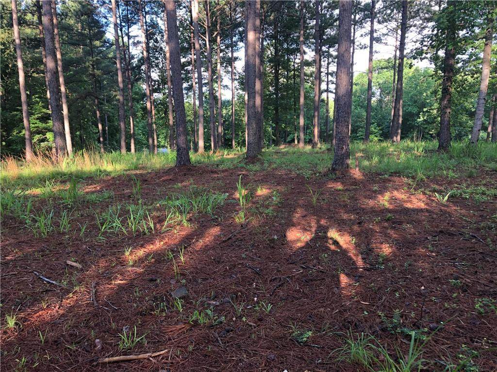 Lot 10 Forest Manor - Photo 1