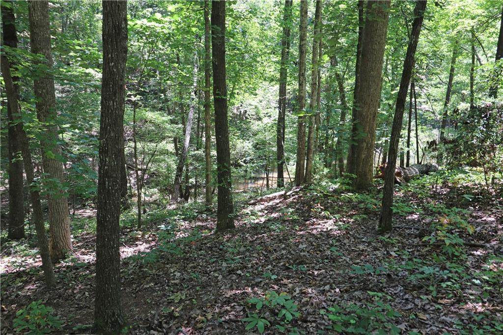 0000 Perry Circle - Photo 1