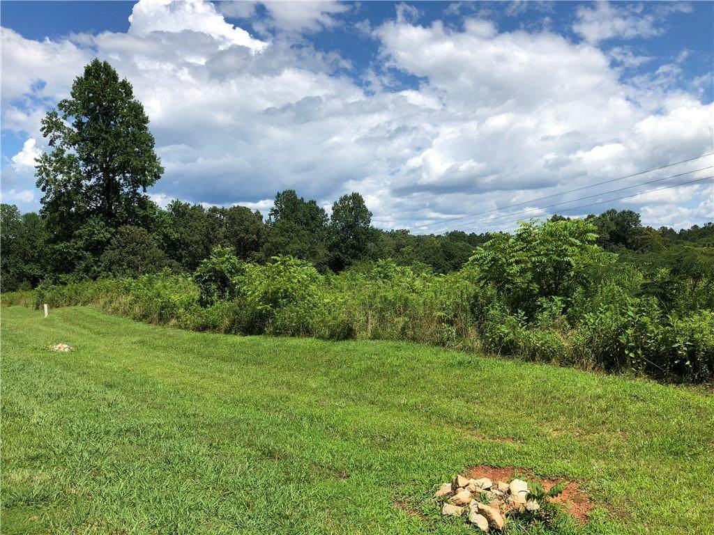 00 Hidden Falls Drive - Photo 1
