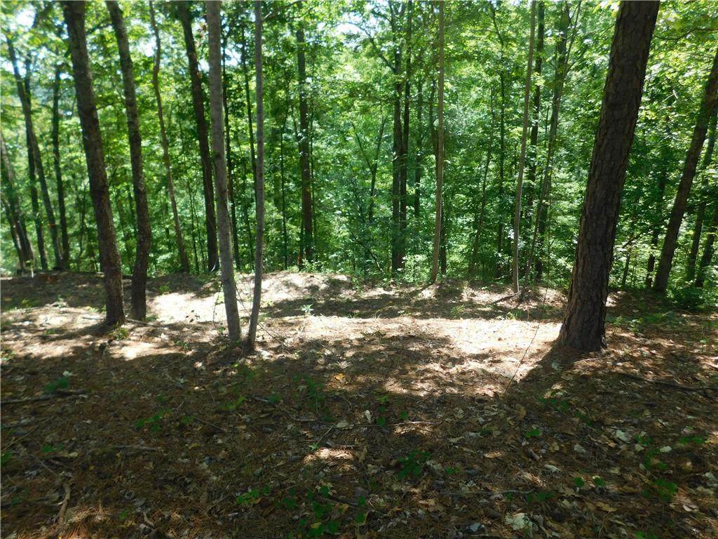 Lot 1 Bentwood Way - Photo 1