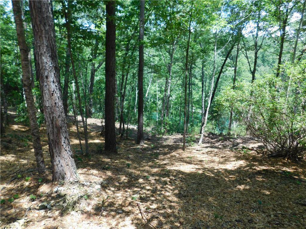 Lot 4 Bentwood Way - Photo 1