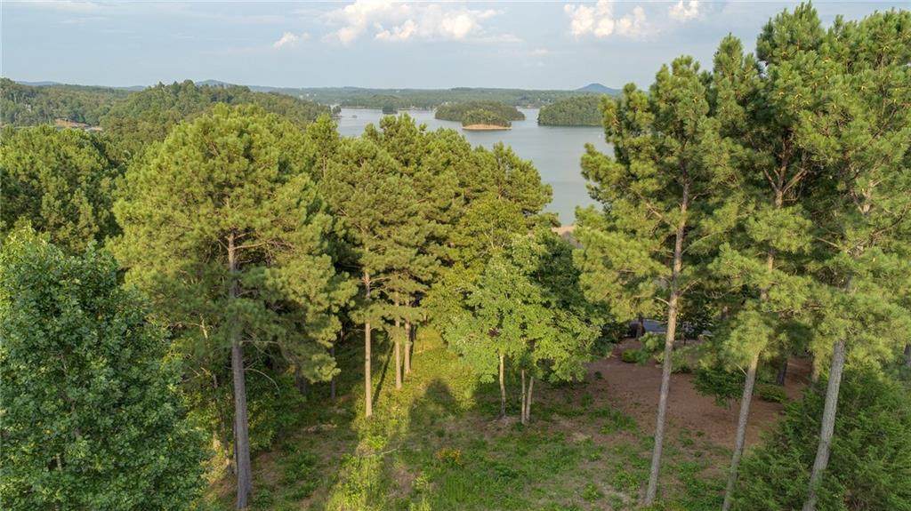 403 Evergreen Trail - Photo 1