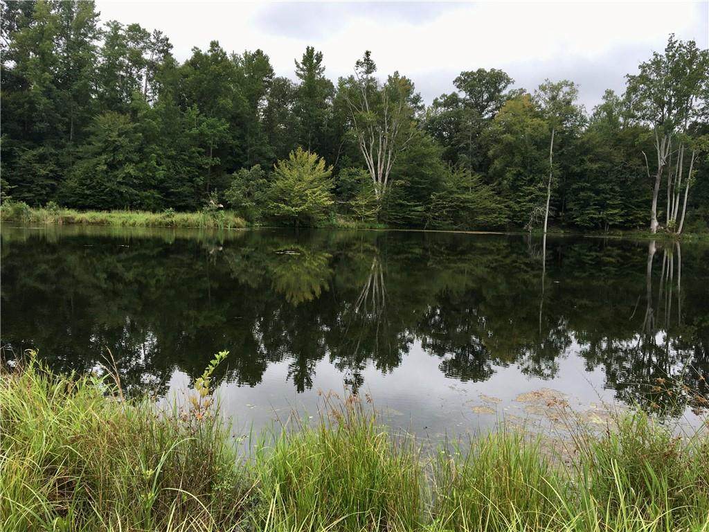 28713 Off Augusta Road - Photo 1