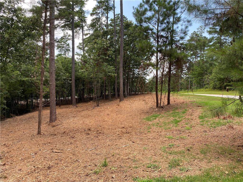000 Great Oak Wy/ Lot 48 Waterford Ridge - Photo 1