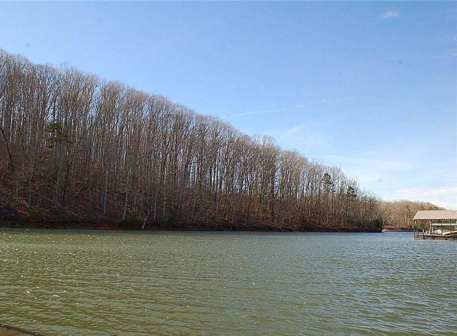 lot 6 Dobbs Lake Road - Photo 1