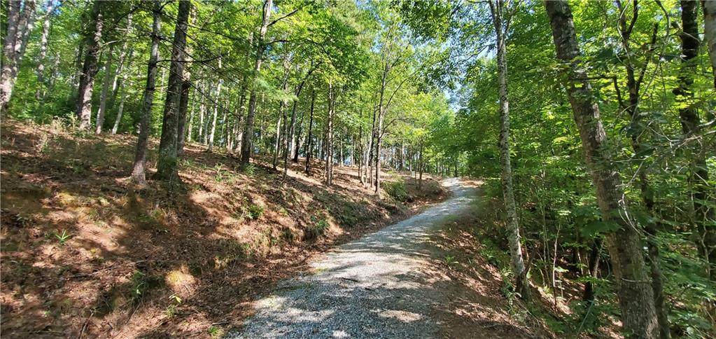 163 Eastatoe Parkway - Photo 1