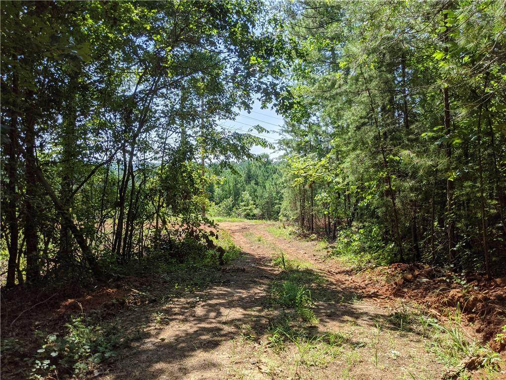 Lot 4 Waterford Farms Road - Photo 1