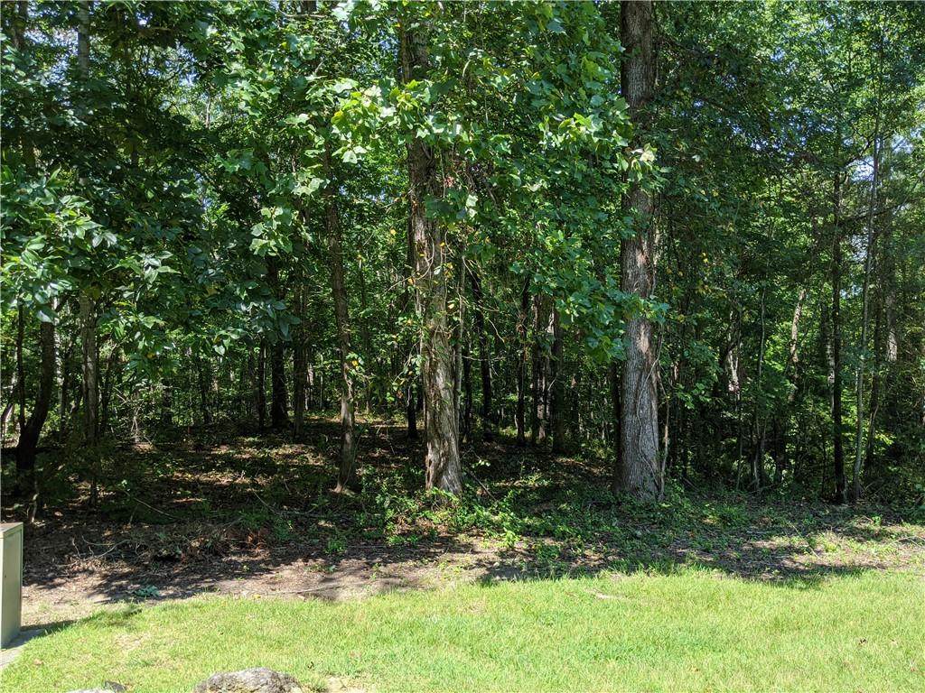 125 Beacon Ridge Circle - Photo 1