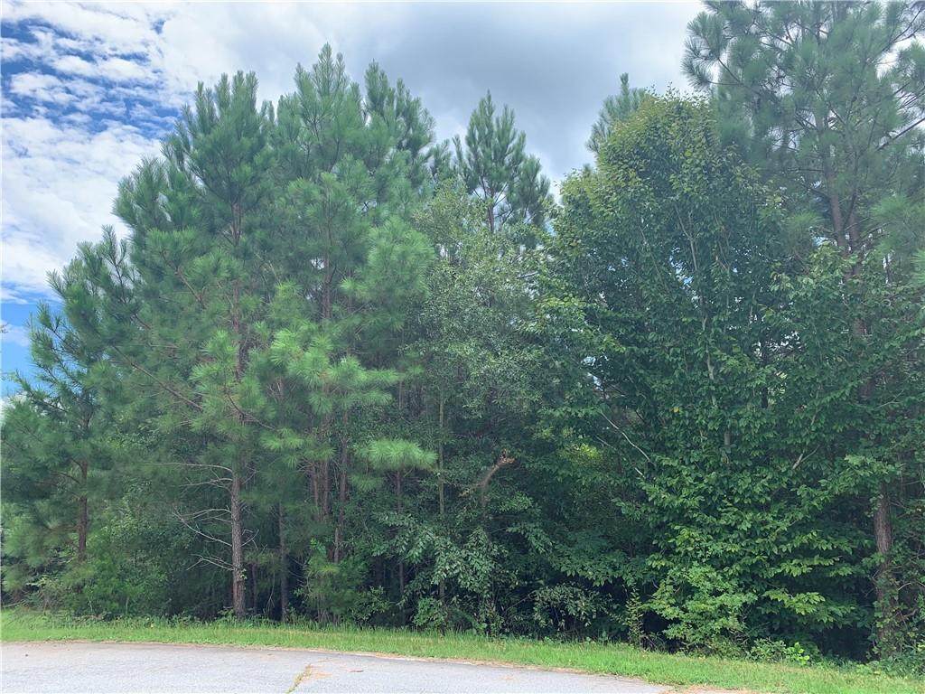 00 Pine Ridge Road - Photo 1