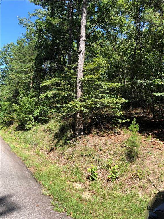 00 Stribling Shoals Road - Photo 1
