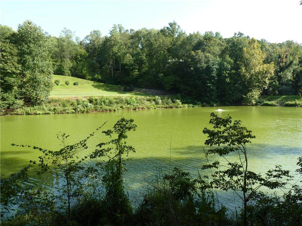 212 Snead Lane - Photo 1