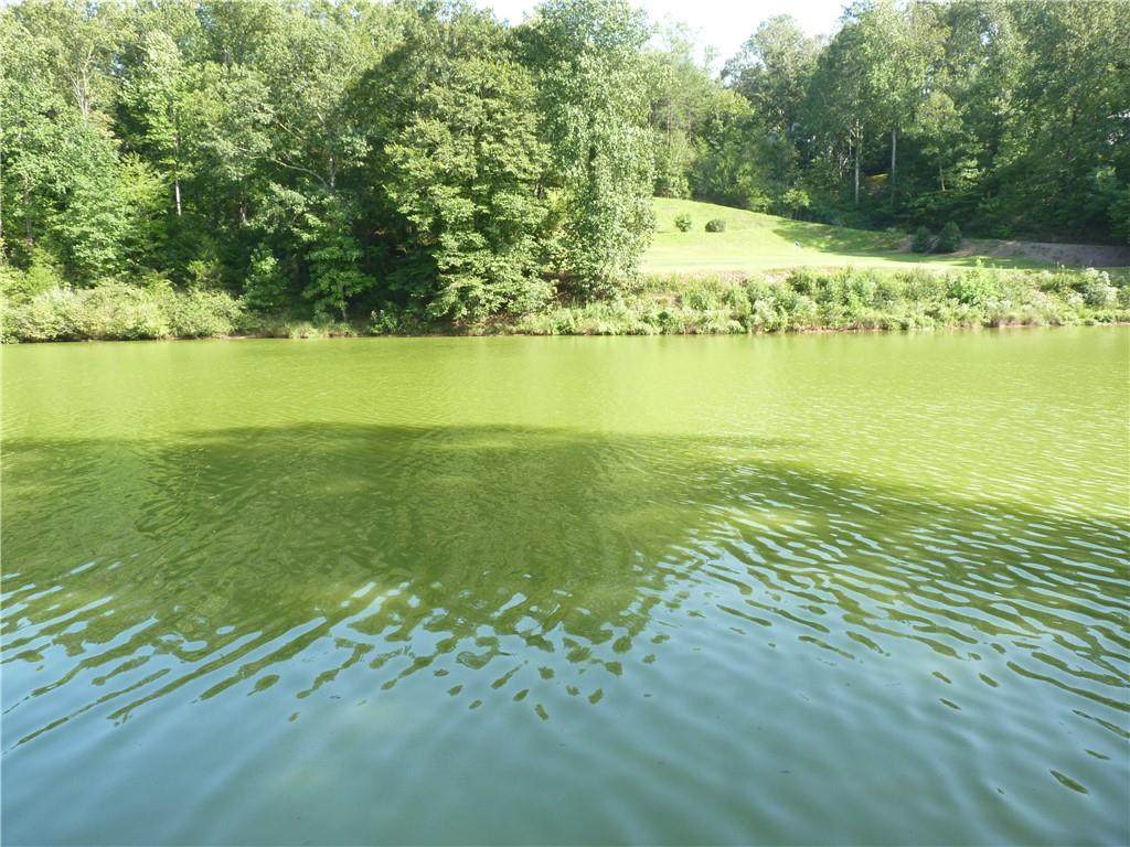210 Snead Lane - Photo 1
