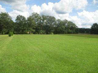 675 The Bear Boulevard - Photo 1