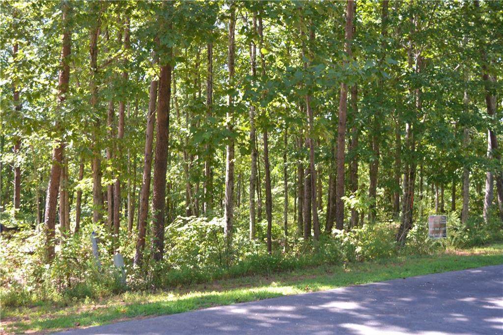 135 Cliffside Trail - Photo 1