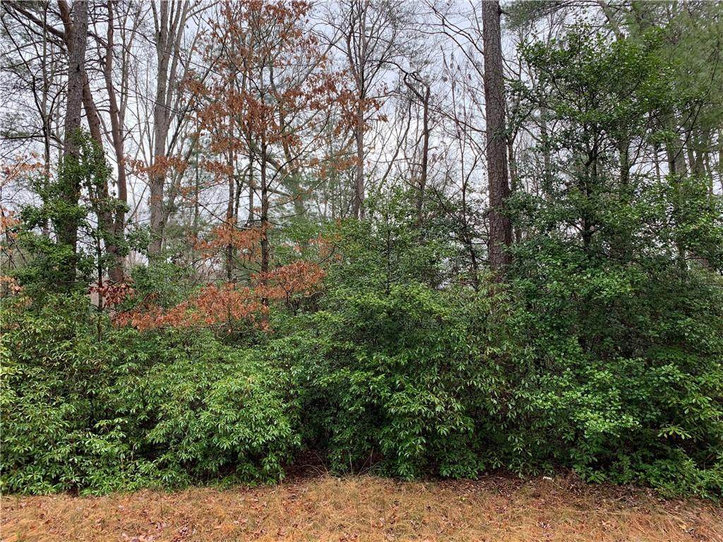 322 Gauley Falls Road - Photo 1