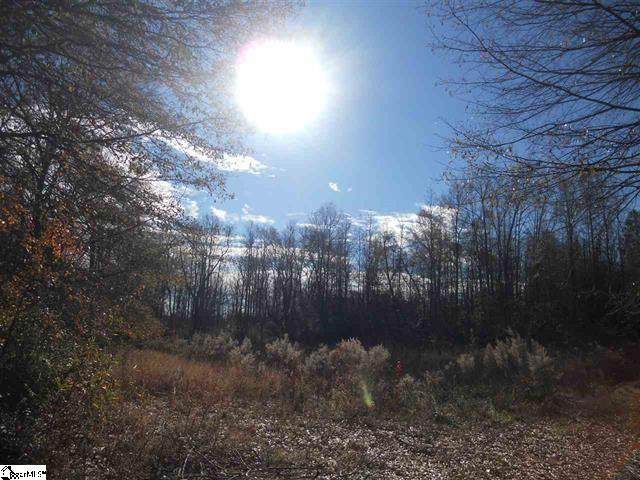 1120 Old Dacusville Road - Photo 1