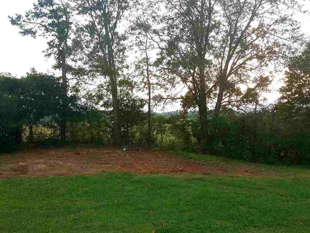 41 Acres Robert Grant Road - Photo 1