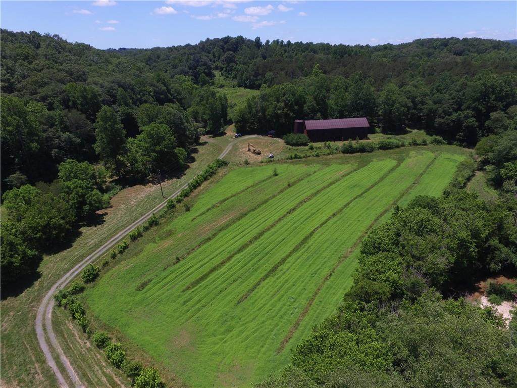 107 Acres Hwy 123 - Photo 1