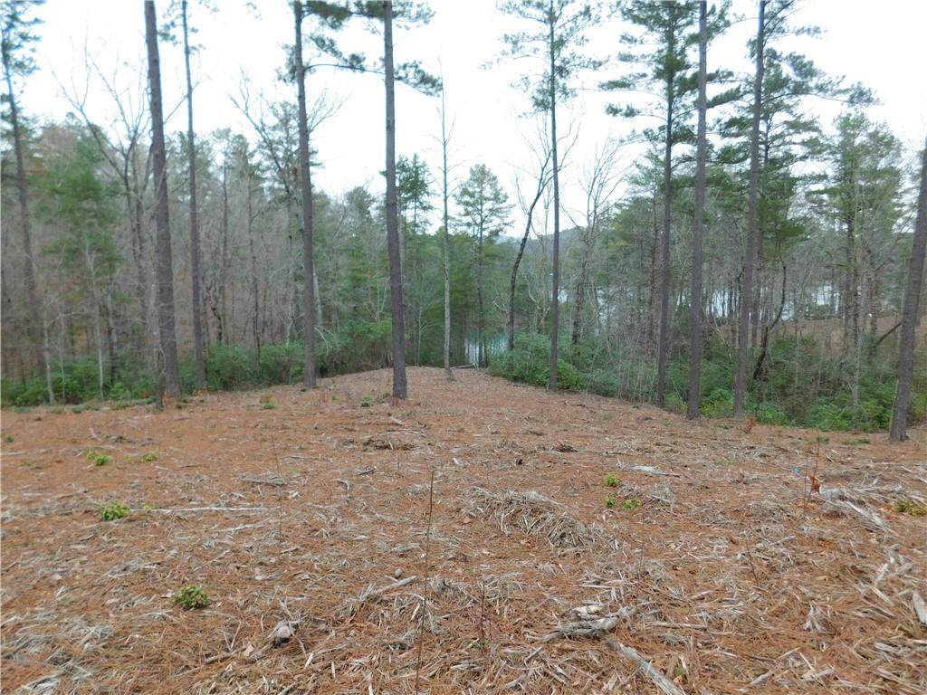 Lot 16 Old Chapman Bridge Road - Photo 1