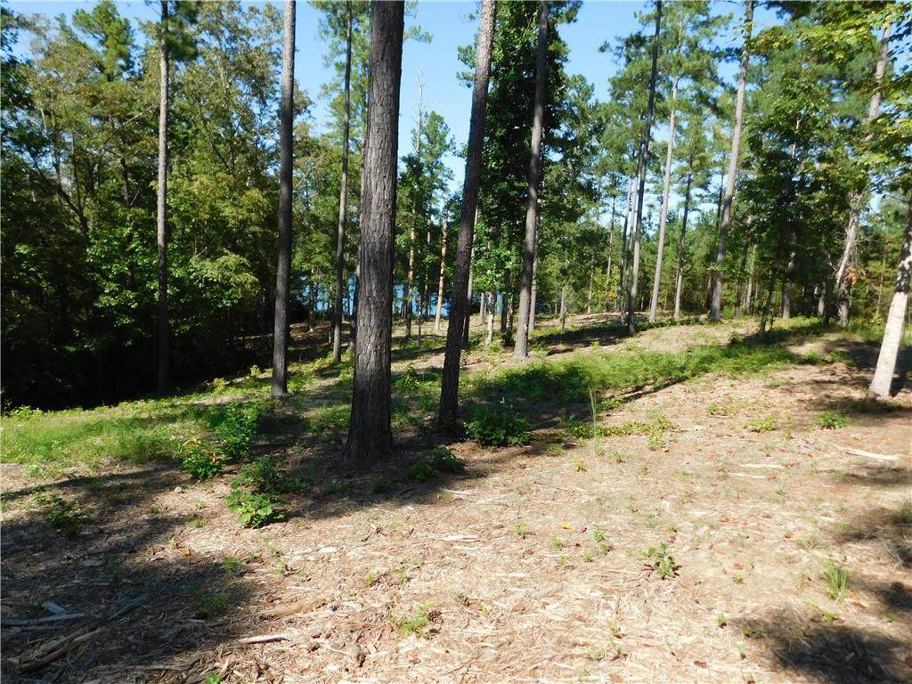 Lot 17 Old Chapman Bridge Road - Photo 1