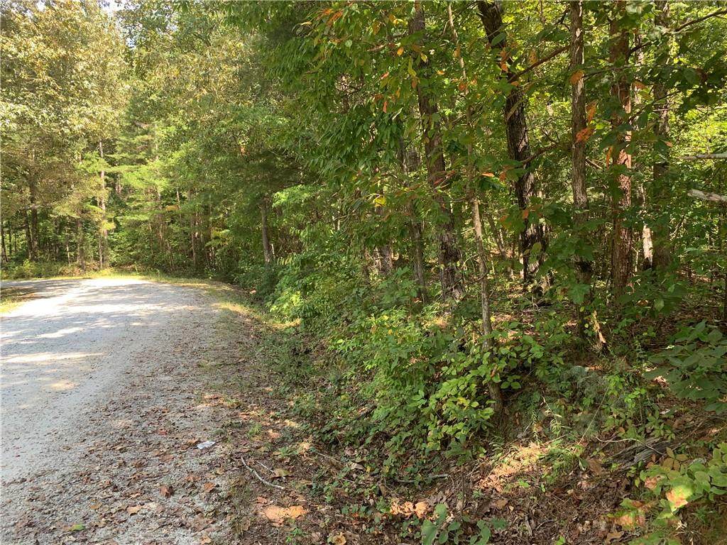 00 Apple Tree/ Hwy 76 Lane - Photo 1