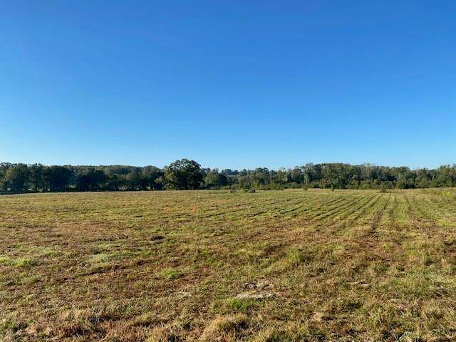 00 Norris Road - Photo 1