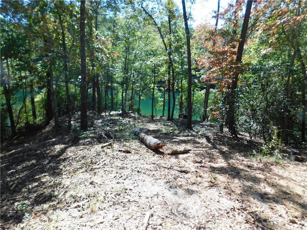 Lot 22 Old Chapman Bridge Road - Photo 1