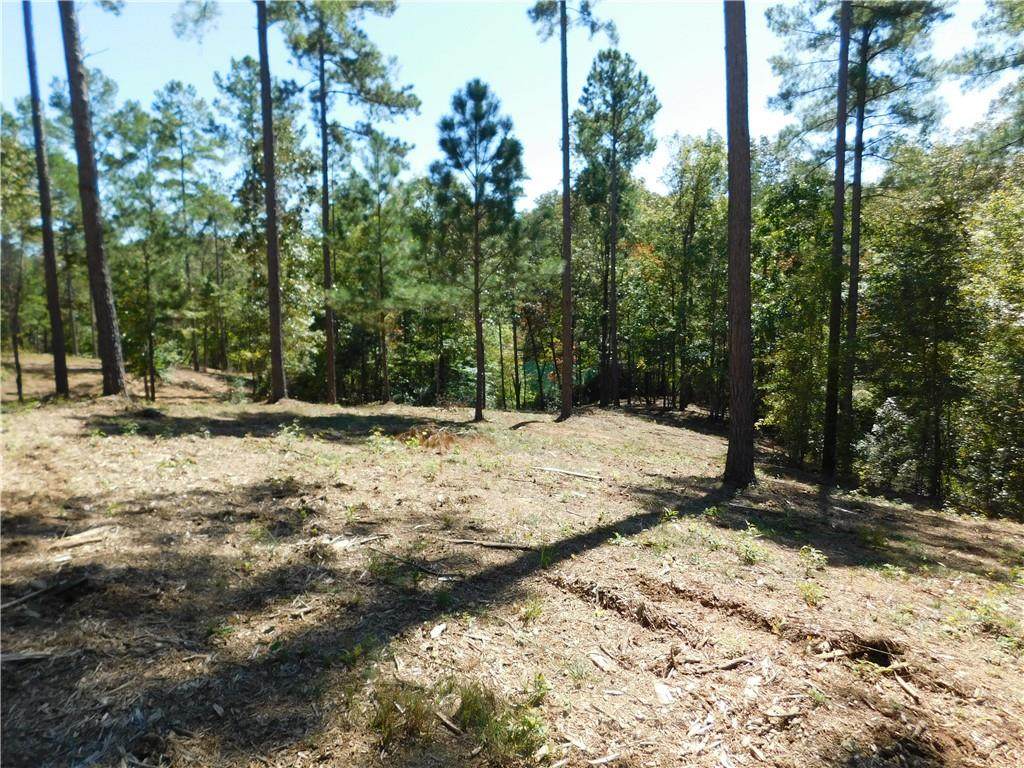 Lot 23 Old Chapman Bridge Road - Photo 1