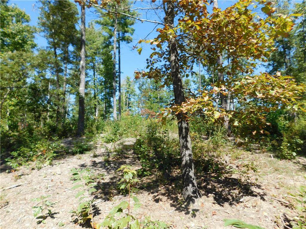 Lot 6 Old Chapman Bridge Road - Photo 1