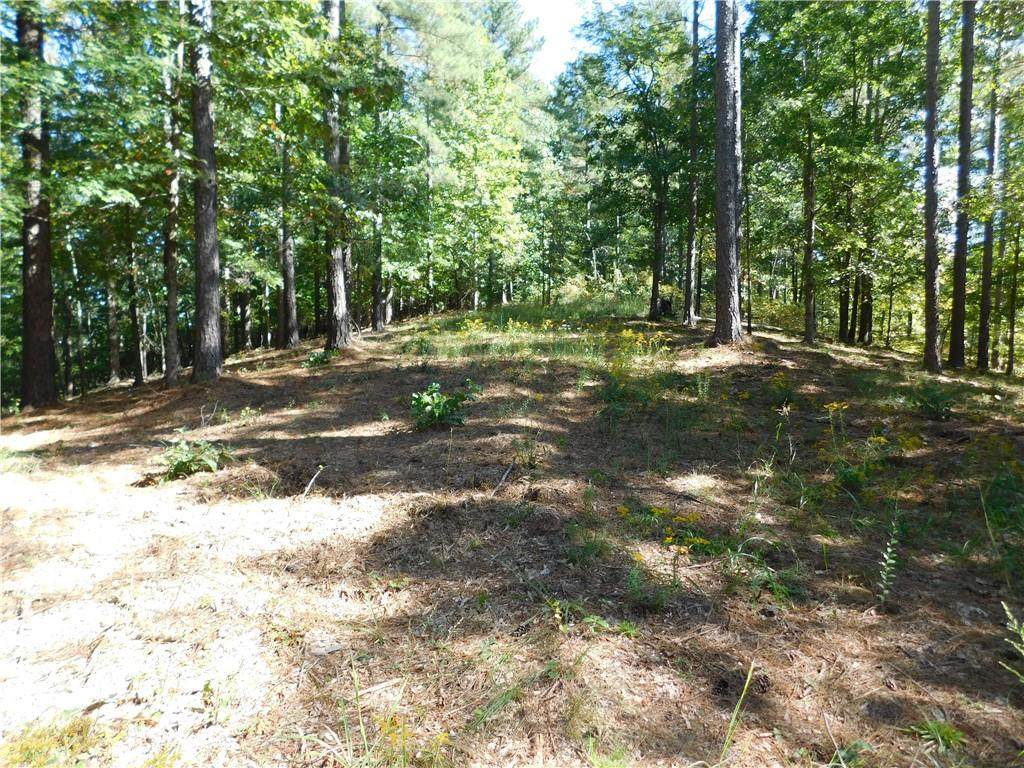 325 Long Cove Trail - Photo 1