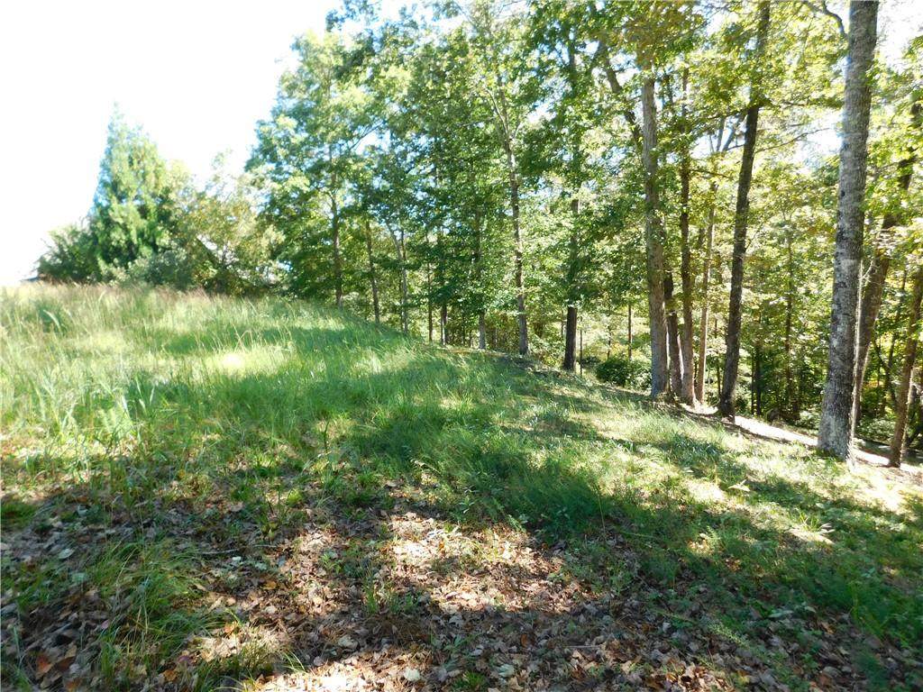 625 River Birch Way - Photo 1