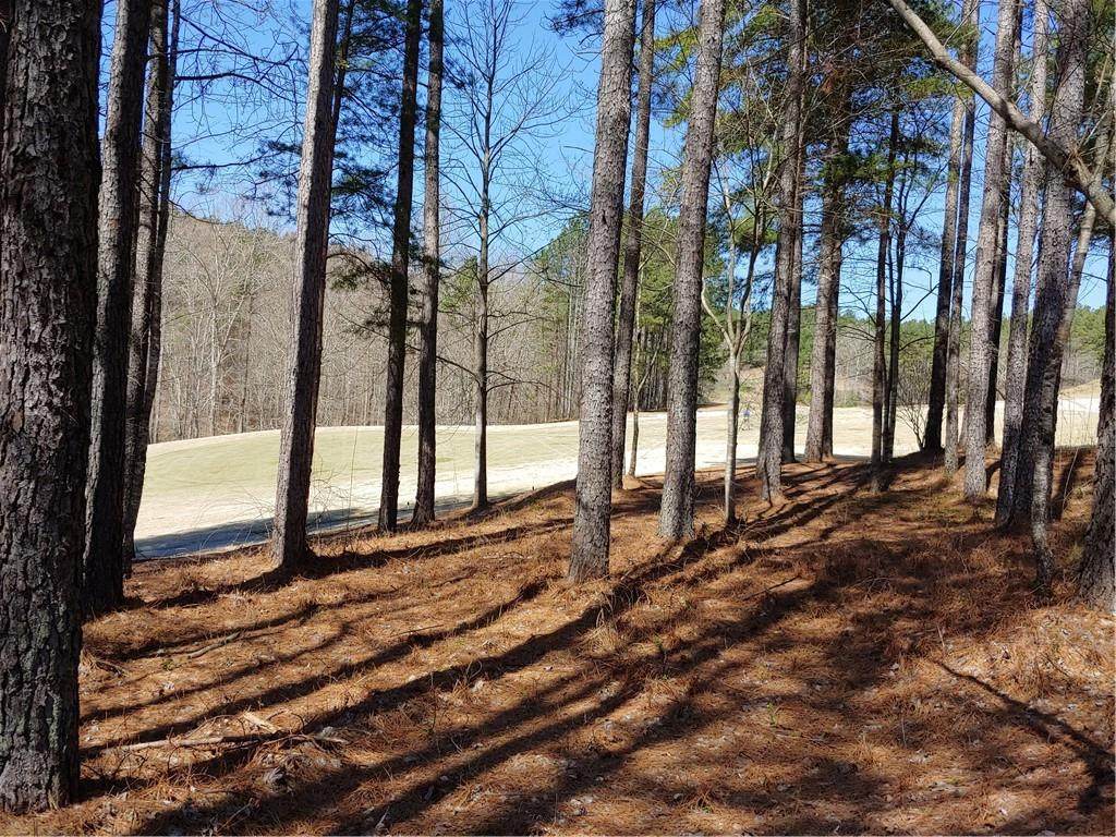 120 Baltusrol Court - Photo 1