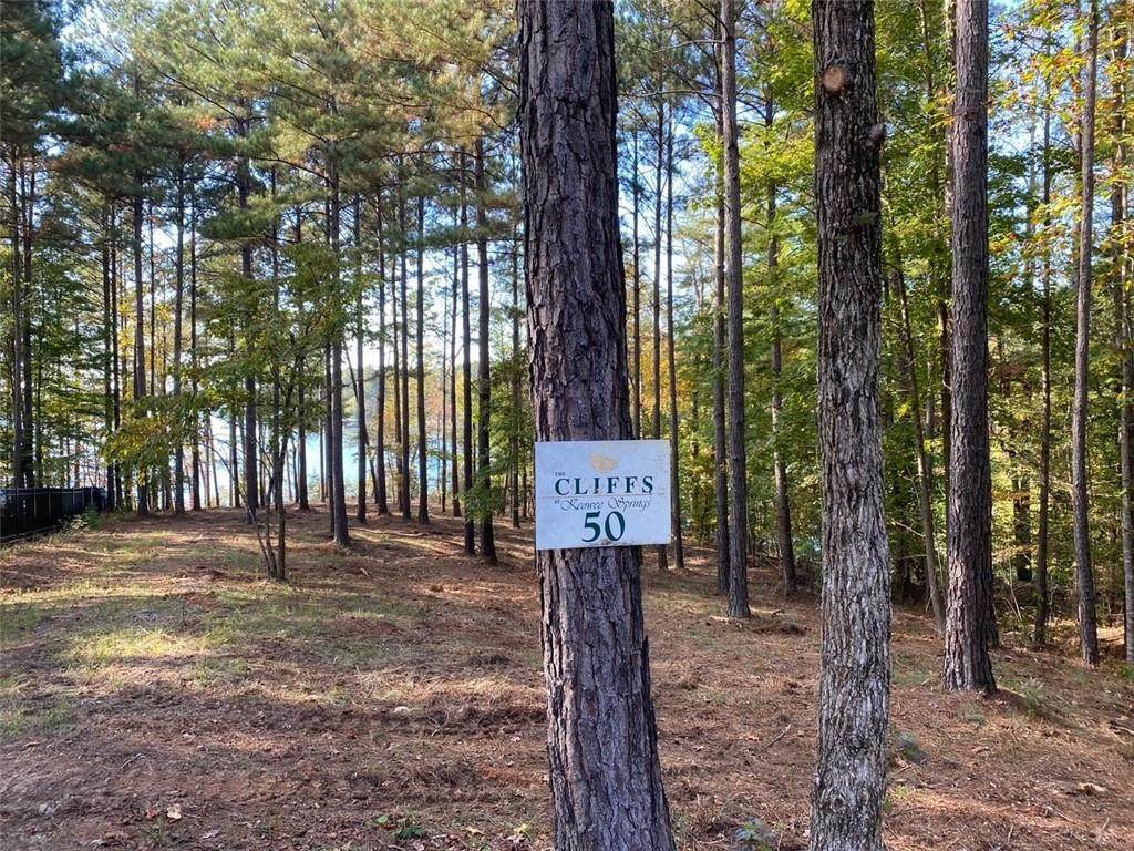 724 Spring Cove Way - Photo 1