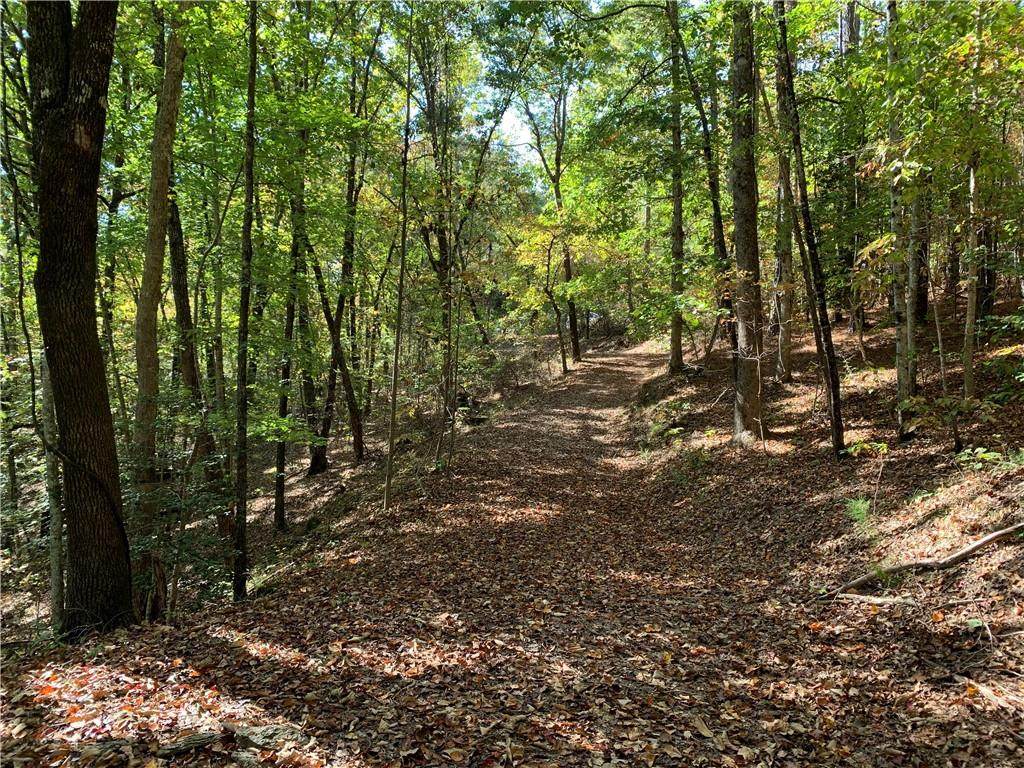 00 Mountain Mint Way - Photo 1